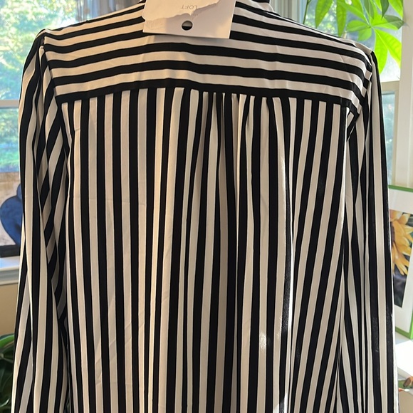 Not guilty of anything but looking beautiful! - Picture 7 of 8